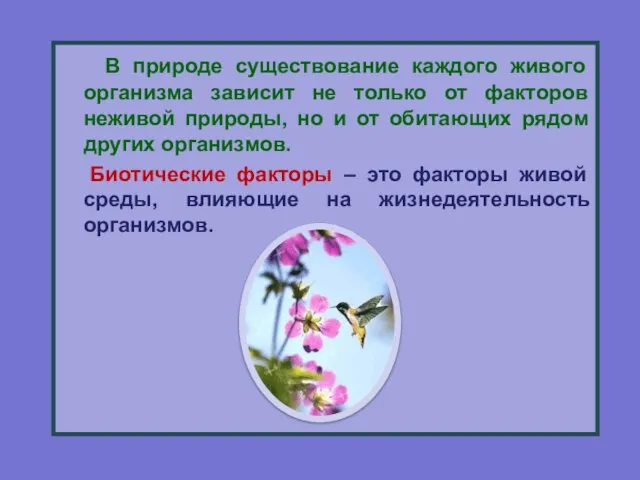 В природе существование каждого живого организма зависит не только от факторов