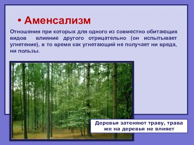 Аменсализм Отношения при которых для одного из совместно обитающих видов влияние