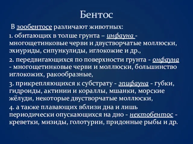 Бентос В зообентосе различают животных: 1. обитающих в толше грунта –