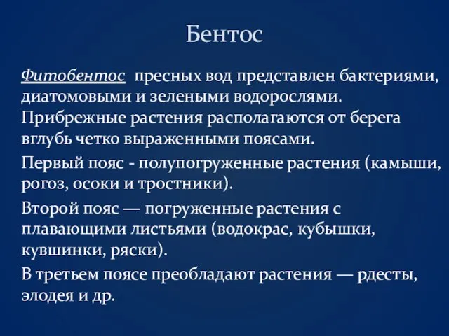 Бентос Фитобентос пресных вод представлен бактериями, диатомовыми и зелеными водорослями. Прибрежные