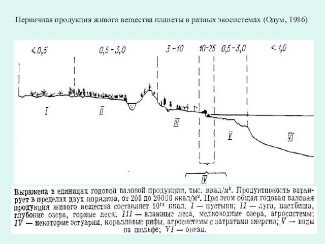 Первичная продукция живого вещества планеты в разных экосистемах (Одум, 1986)