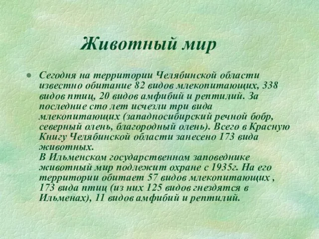 Животный мир Сегодня на территории Челябинской области известно обитание 82 видов