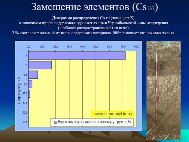 Диаграмма распределения Cs 137 (замещает K) в почвенном профиле дерново-подзолистых почв