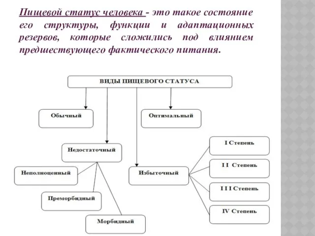 Пищевой статус человека - это такое состояние его структуры, функции и