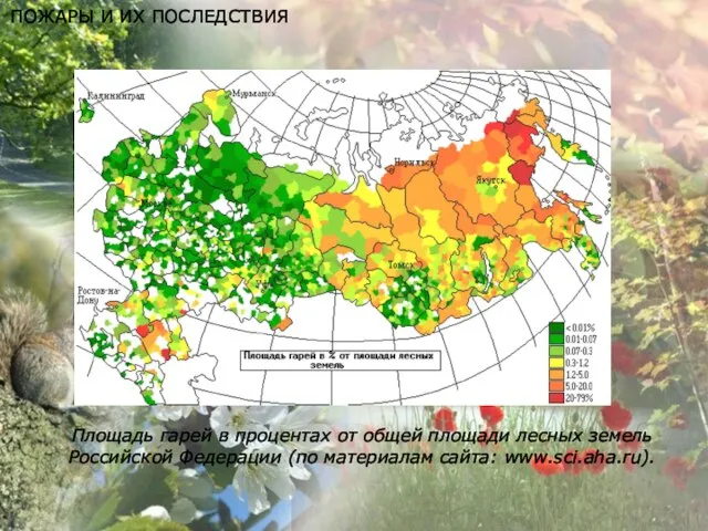 ПОЖАРЫ И ИХ ПОСЛЕДСТВИЯ Площадь гарей в процентах от общей площади