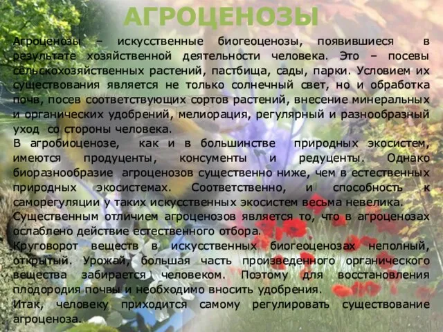 АГРОЦЕНОЗЫ Агроценозы – искусственные биогеоценозы, появившиеся в результате хозяйственной деятельности человека.