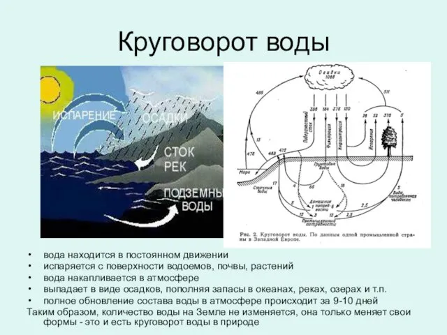 Круговорот воды вода находится в постоянном движении испаряется с поверхности водоемов,