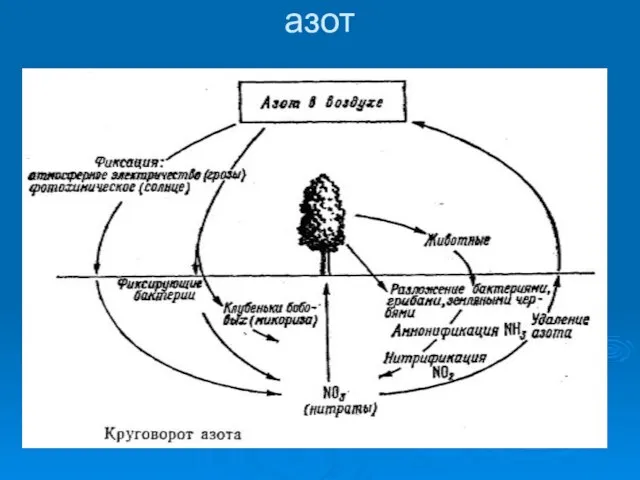 азот