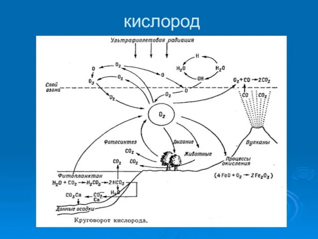 кислород