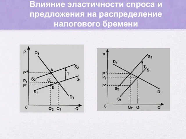 Влияние эластичности спроса и предложения на распределение налогового бремени