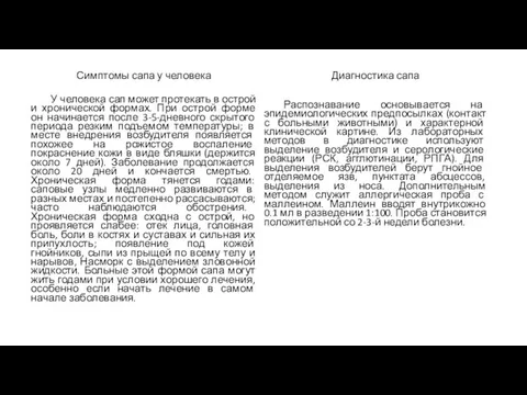 Симптомы сапа у человека У человека сап может протекать в острой