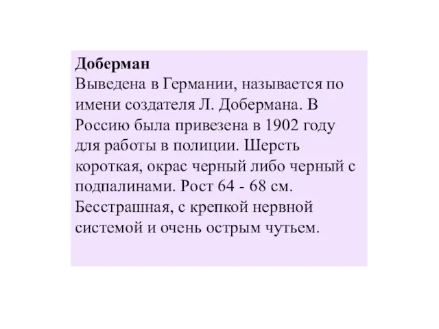 Доберман Выведена в Германии, называется по имени создателя Л. Добермана. В