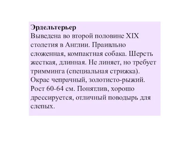 Эрдельтерьер Выведена во второй половине XIX столетия в Англии. Праивльно сложенная,