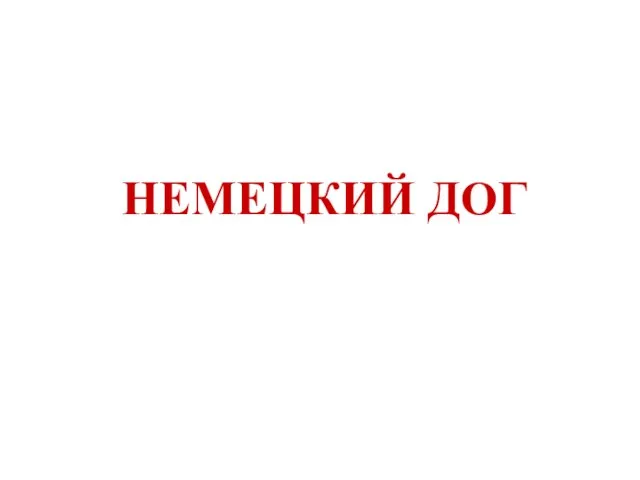 НЕМЕЦКИЙ ДОГ