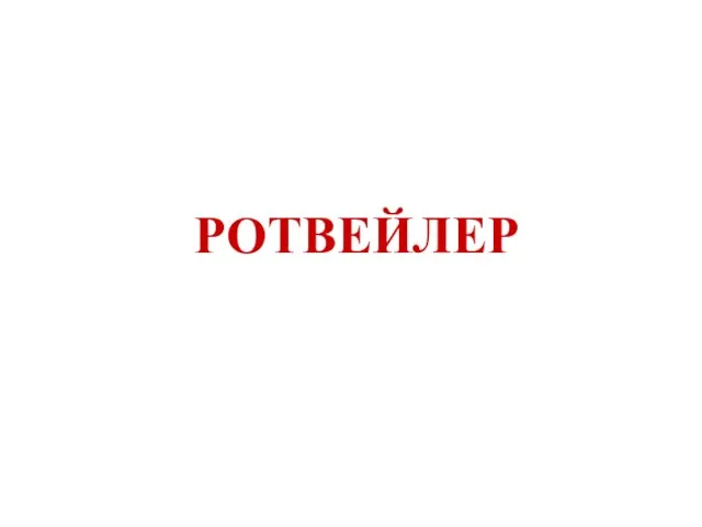 РОТВЕЙЛЕР