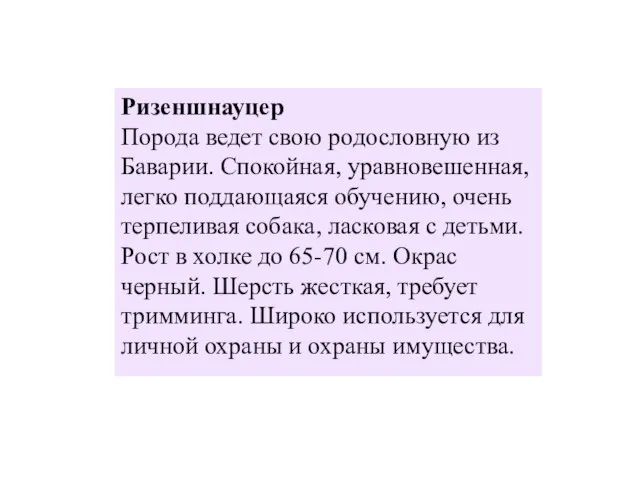 Ризеншнауцер Порода ведет свою родословную из Баварии. Спокойная, уравновешенная, легко поддающаяся