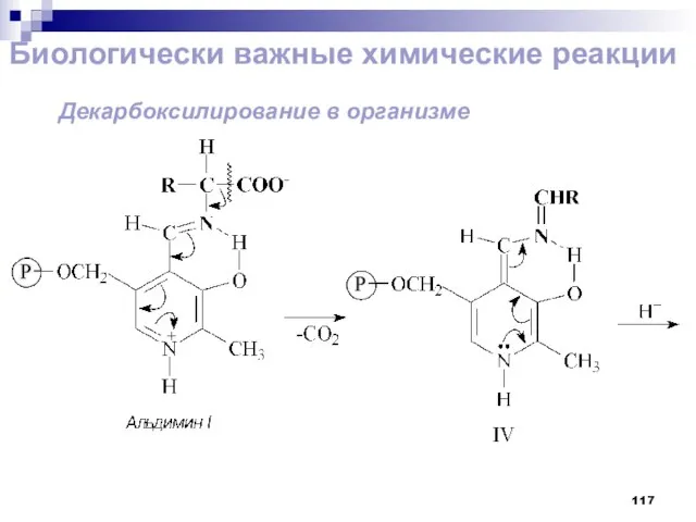 Биологически важные химические реакции Декарбоксилирование в организме