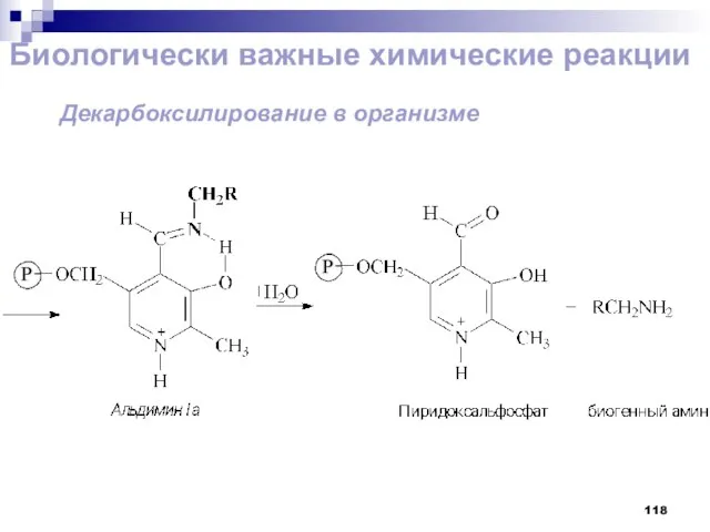 Биологически важные химические реакции Декарбоксилирование в организме