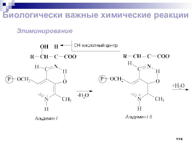 Биологически важные химические реакции Элиминирование