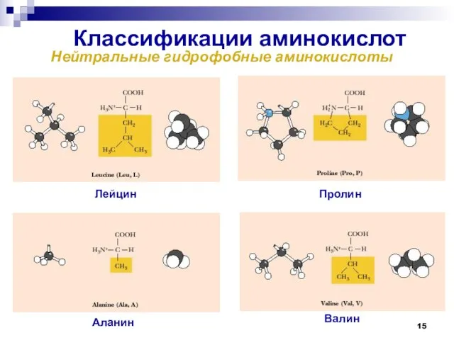 Классификации аминокислот Нейтральные гидрофобные аминокислоты Аланин Валин Лейцин Пролин