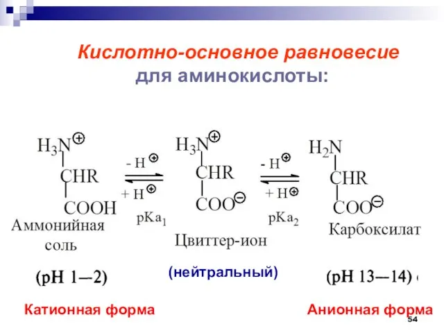 Кислотно-основное равновесие для аминокислоты: Катионная форма Анионная форма (нейтральный)