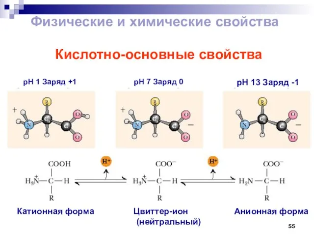 Кислотно-основные свойства pH 1 Заряд +1 pH 7 Заряд 0 pH