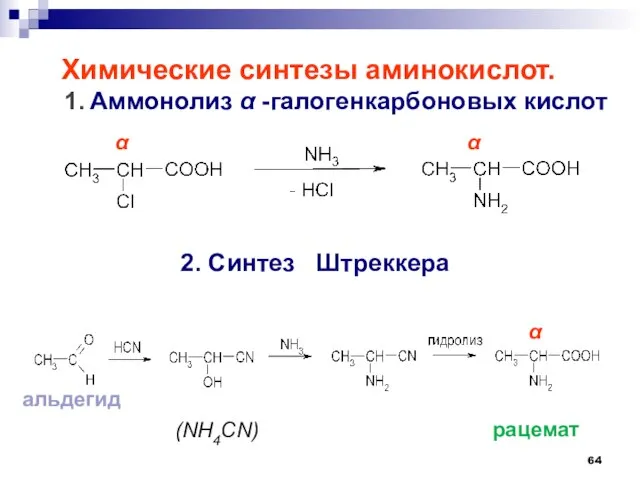 Химические синтезы аминокислот. 1. Аммонолиз  -галогенкарбоновых кислот 2. Синтез Штреккера