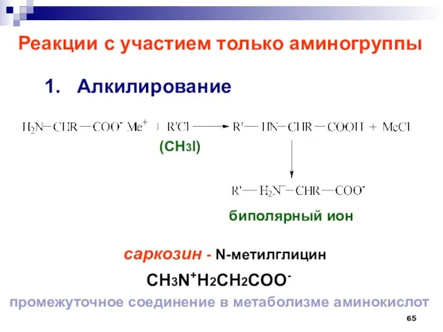 Реакции с участием только аминогруппы 1. Алкилирование саркозин - N-метилглицин биполярный