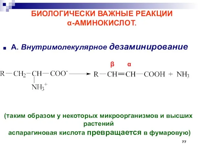 БИОЛОГИЧЕСКИ ВАЖНЫЕ РЕАКЦИИ -АМИНОКИСЛОТ. А. Внутримолекулярное дезаминирование (таким образом у некоторых