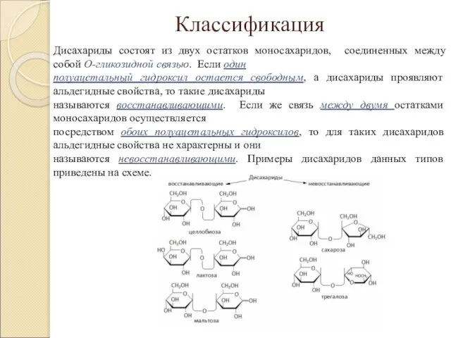 Классификация Дисахариды состоят из двух остатков моносахаридов, соединенных между собой О-гликозидной