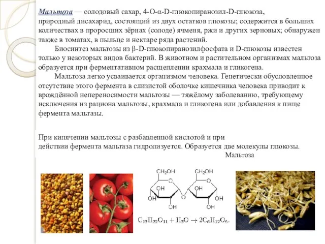 Мальтоза — солодовый сахар, 4-О-α-D-глюкопиранозил-D-глюкоза, природный дисахарид, состоящий из двух остатков