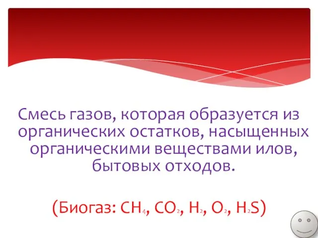 Смесь газов, которая образуется из органических остатков, насыщенных органическими веществами илов,