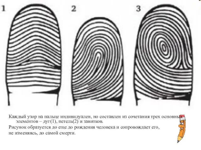 Каждый узор на пальце индивидуален, но составлен из сочетания трех основных