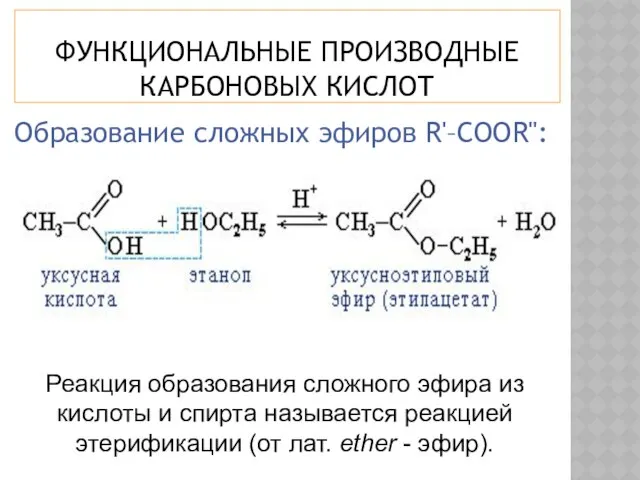 ФУНКЦИОНАЛЬНЫЕ ПРОИЗВОДНЫЕ КАРБОНОВЫХ КИСЛОТ Образование сложных эфиров R'–COOR": Реакция образования сложного