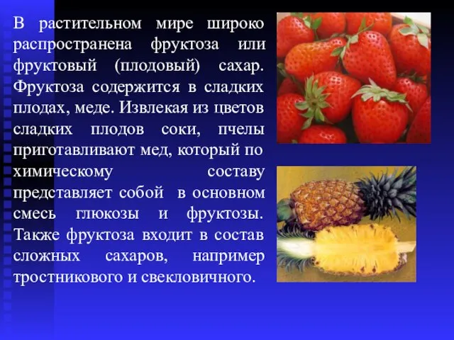 В растительном мире широко распространена фруктоза или фруктовый (плодовый) сахар. Фруктоза