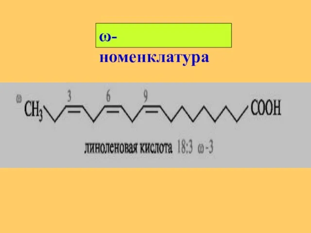 -номенклатура