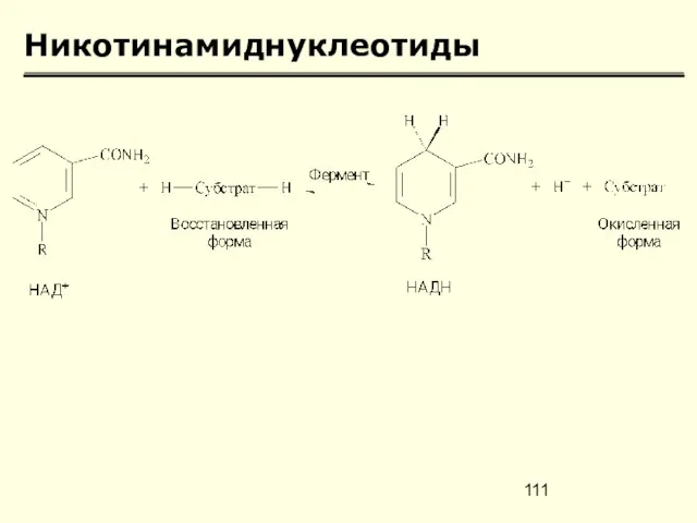 Никотинамиднуклеотиды