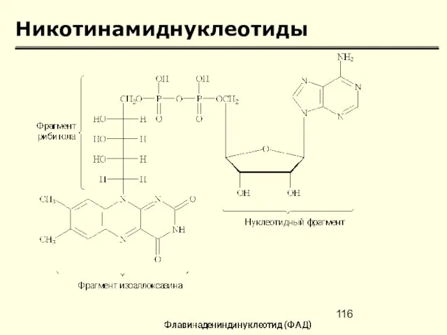 Никотинамиднуклеотиды