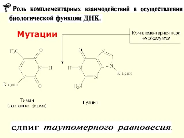 Мутации