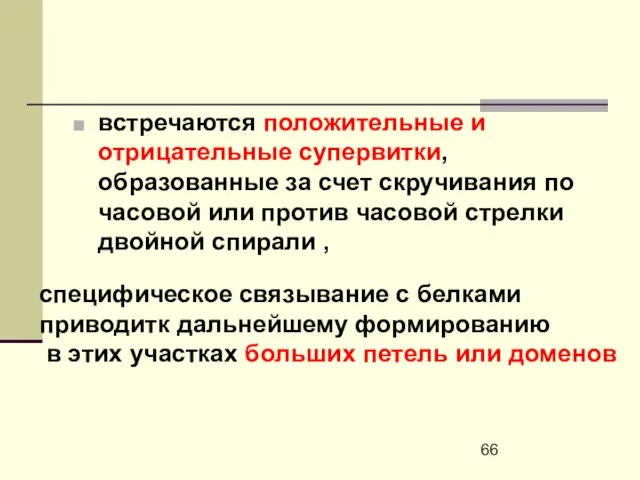 встречаются положительные и отрицательные супервитки, образованные за счет скручивания по часовой