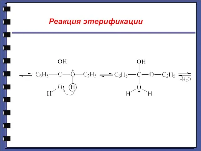 Реакция этерификации