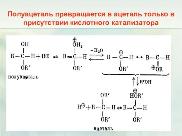 Полуацеталь превращается в ацеталь только в присутствии кислотного катализатора