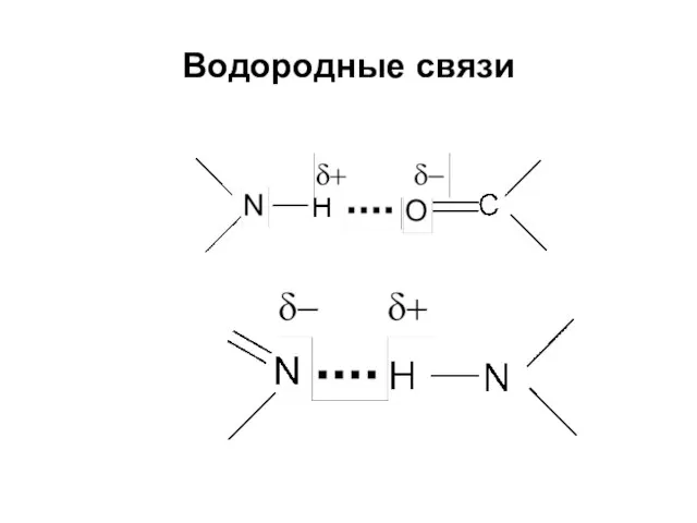 Водородные связи