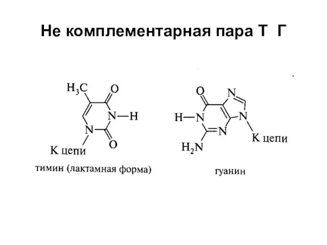 Не комплементарная пара Т Г