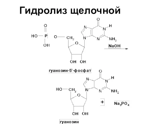 Гидролиз щелочной