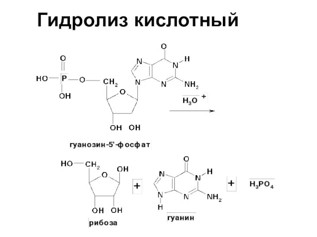 Гидролиз кислотный