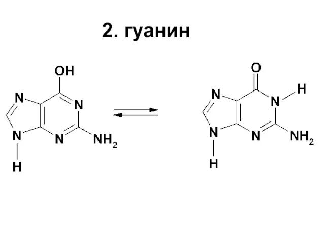 2. гуанин