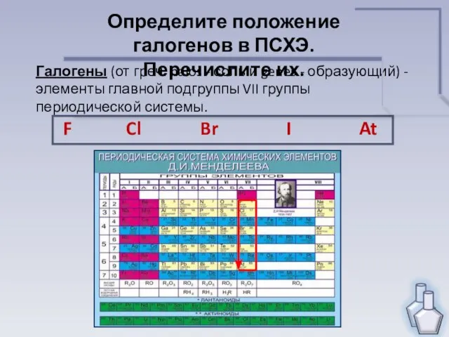 Определите положение галогенов в ПСХЭ. Перечислите их. Галогены (от греч. halos