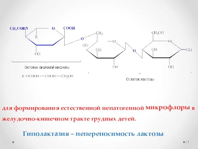 для формирования естественной непатогенной микрофлоры в желудочно-кишечном тракте грудных детей. Гиполактазия – непереносимость лактозы