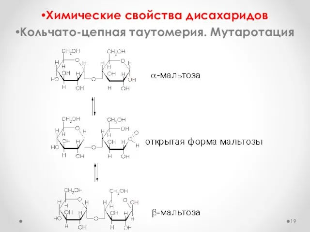 Химические свойства дисахаридов Кольчато-цепная таутомерия. Мутаротация